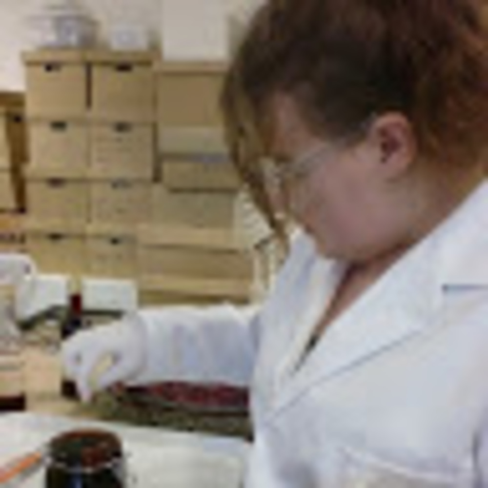 Meet your Posher, Diana